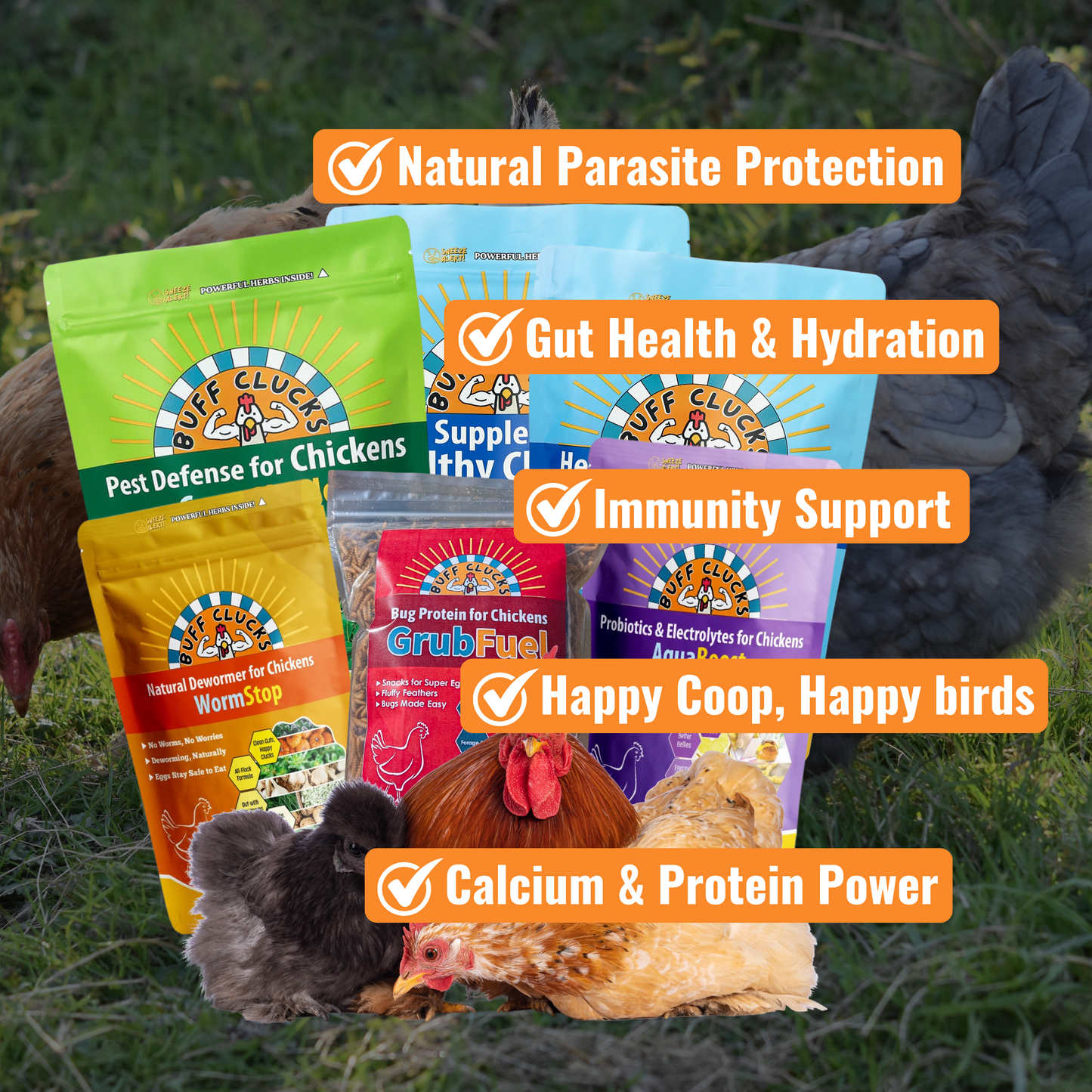 Complete Coop Care System 5 main benefits for happy & Healthy Flocks