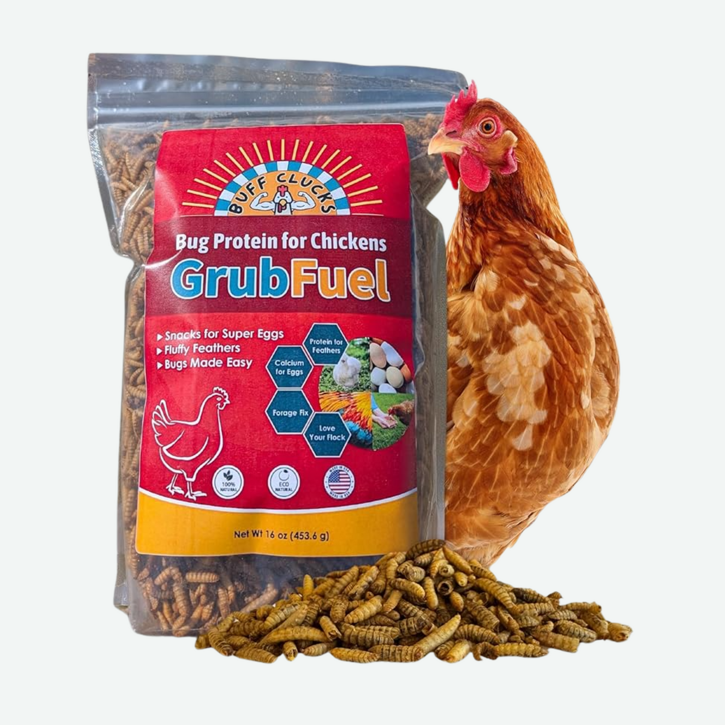 black soldier fly larvae for chickens grubfuel package by buff clucks