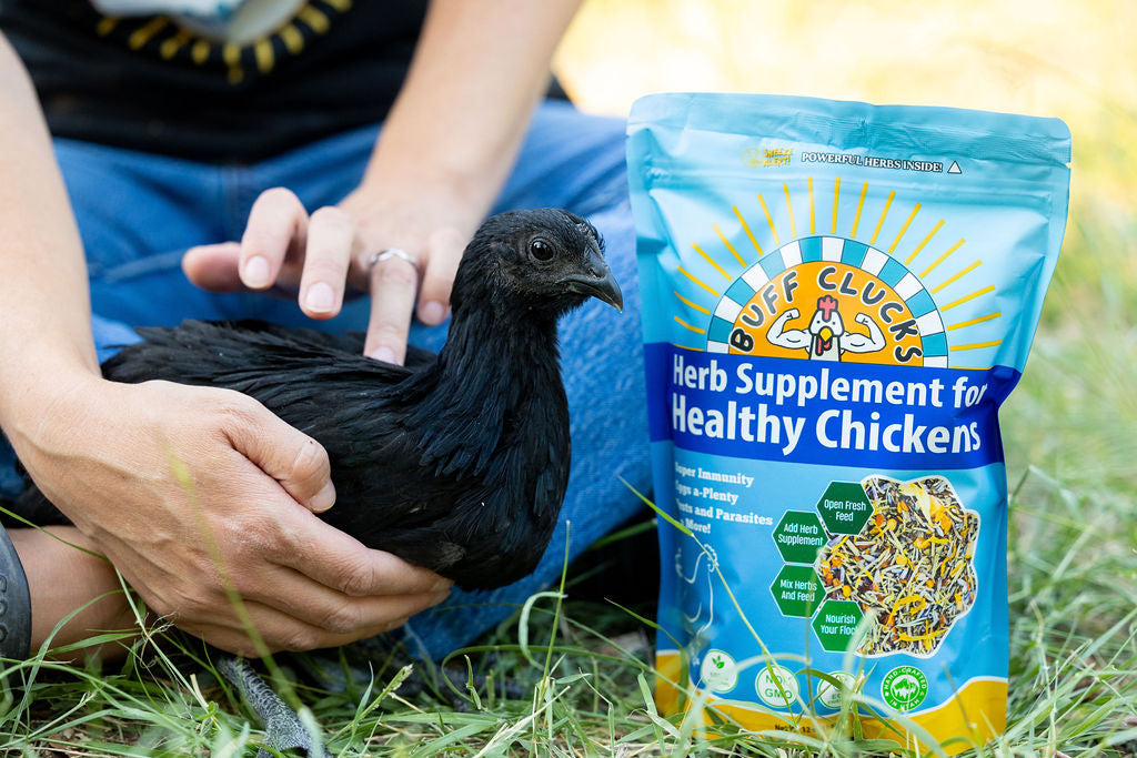 ★FULL CASE★ Herb Supplement For Backyard Chickens (12 Pack of 12 oz units)