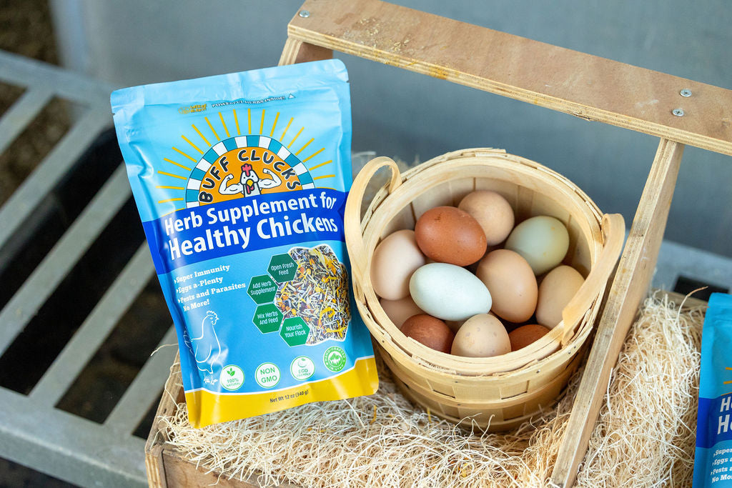 ★FULL CASE★ Herb Supplement For Backyard Chickens (12 Pack of 12 oz units)