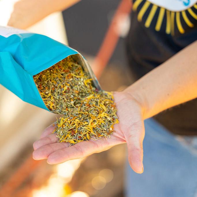 Herb Supplement real products showing in hand.