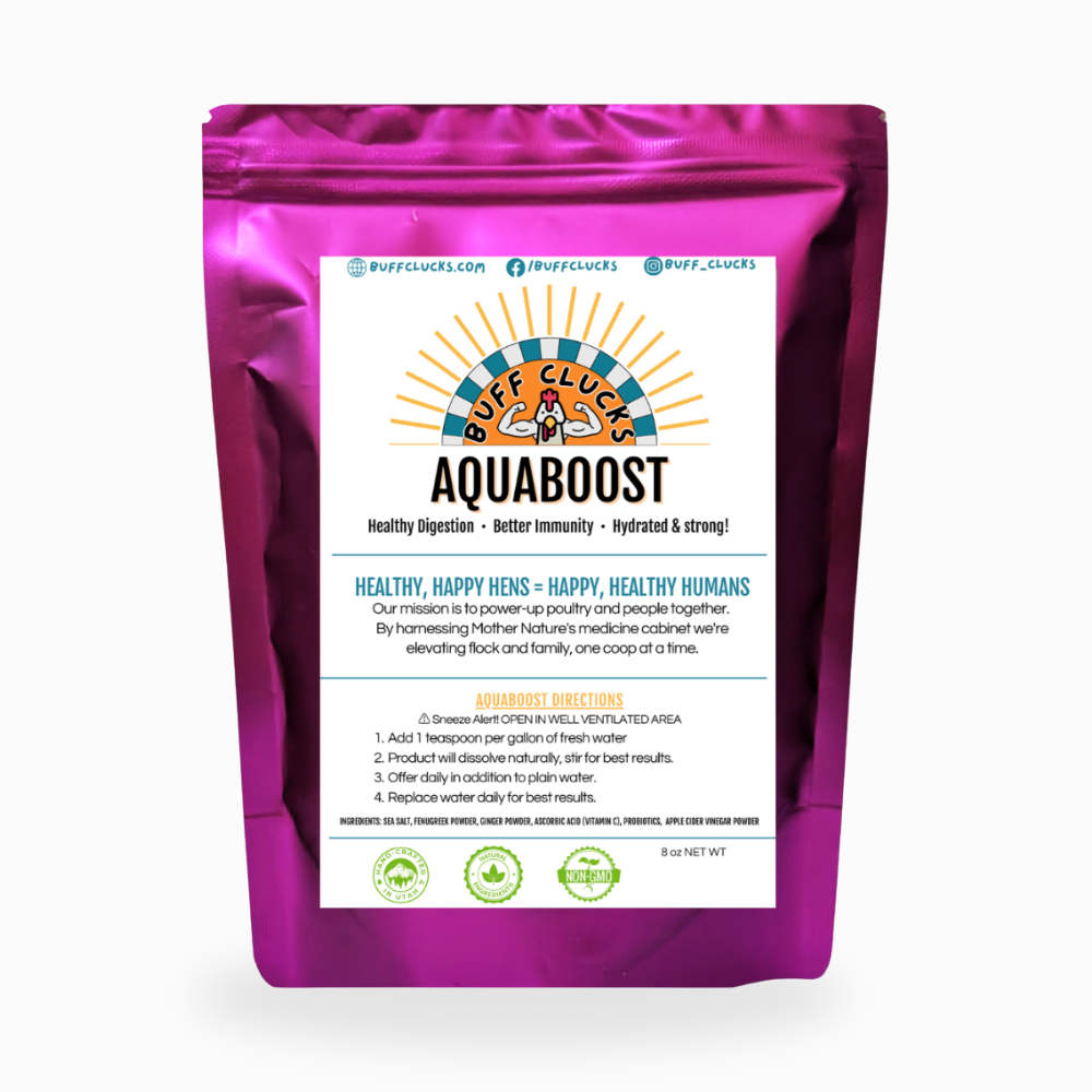 Aquaboost Powdered form for hydration & digestion, front package