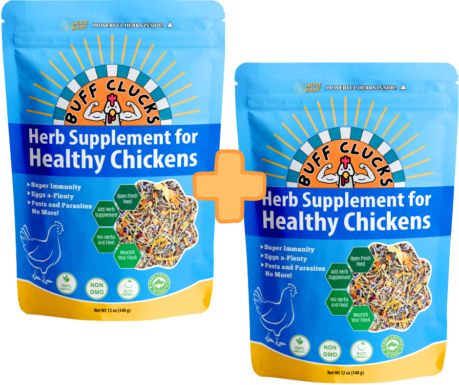 buff clucks herb supplement for chickens 2 bags bundle