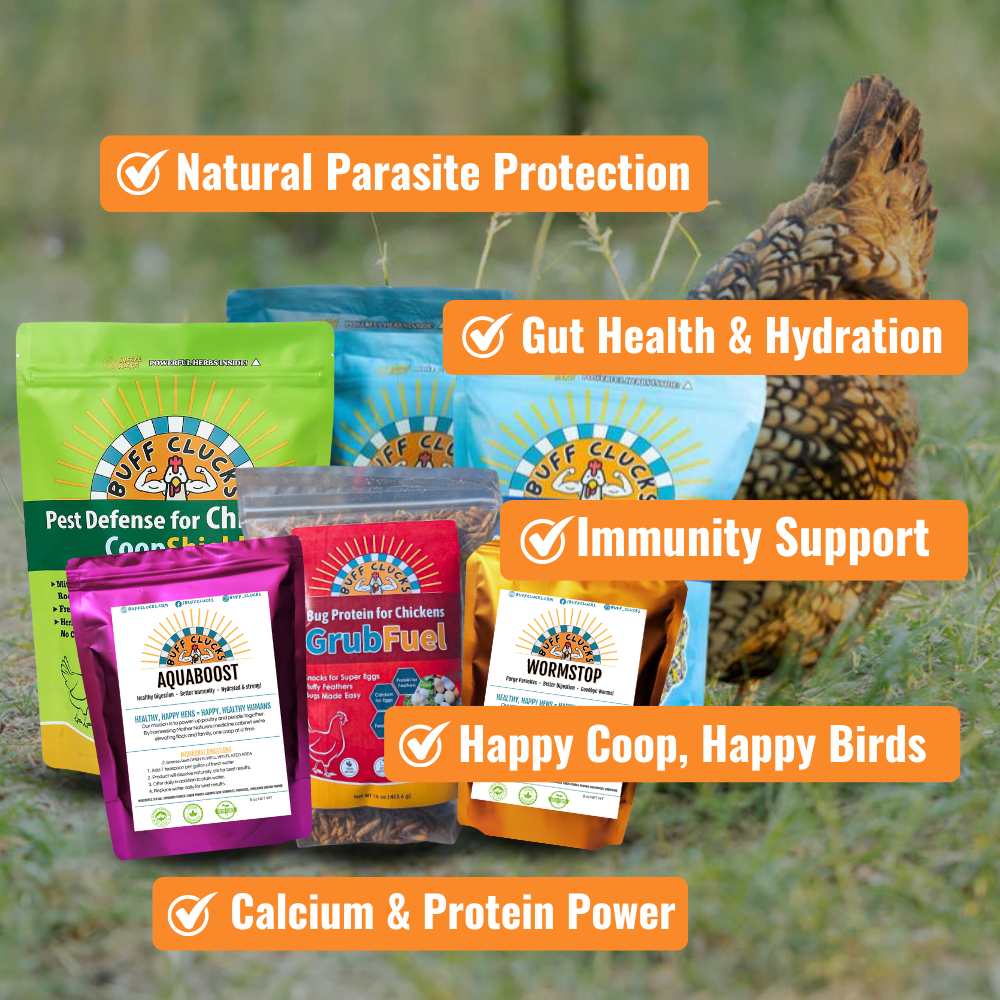 Complete Coop Care System 5 main benefits for happy & Healthy Flocks