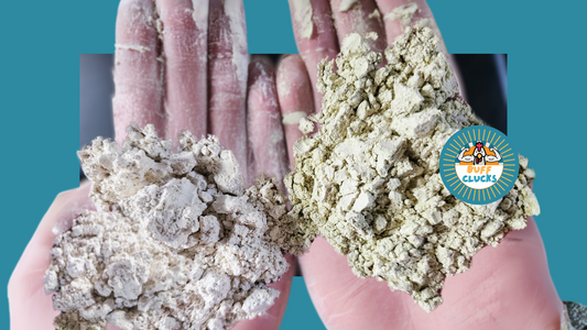 regular diatomaceous earth and Buff Clucks CoopShield DE and Herb Blend