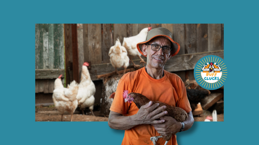 The Rise of the Chicken Daddy: Why More Men Love Chickens