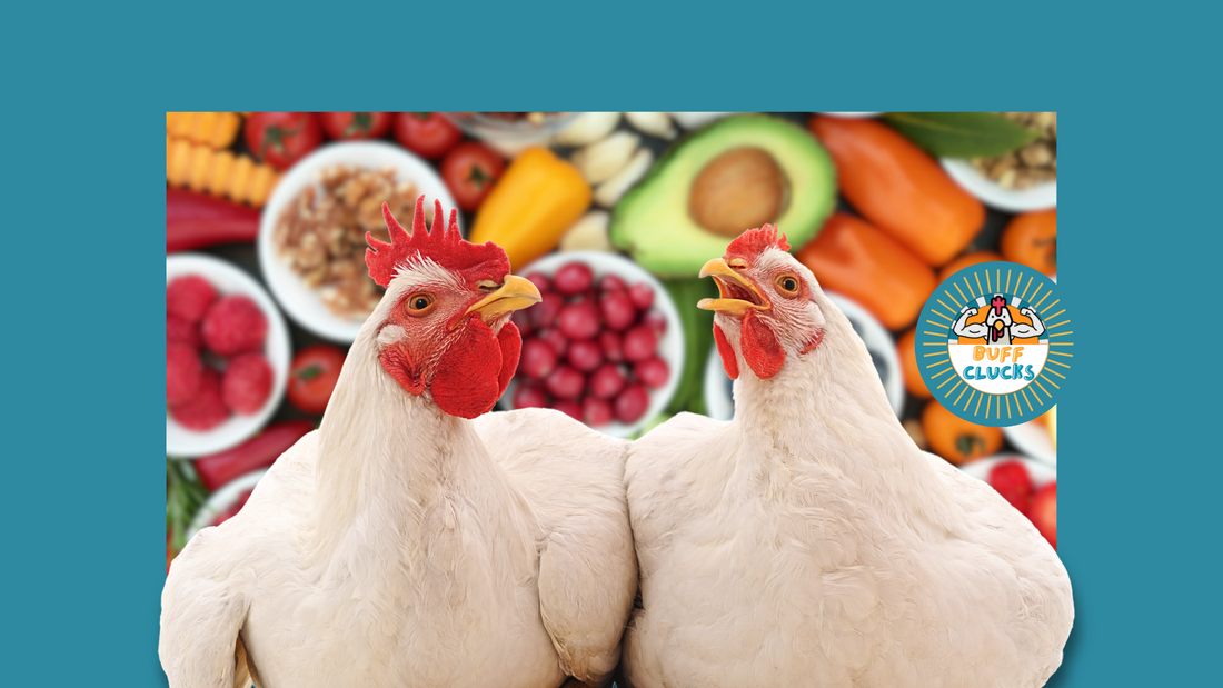 Do Chickens Need Vitamins & Supplements? What’s Essential vs. Extra