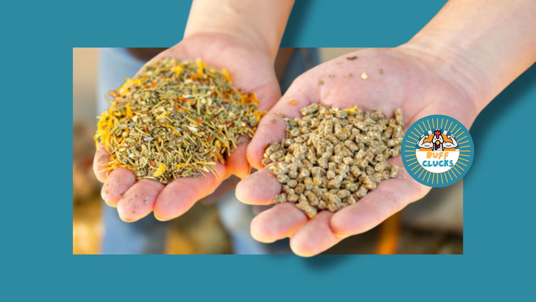 Healthy Guts and Happy Hens with These Chicken Digestion Health Tips