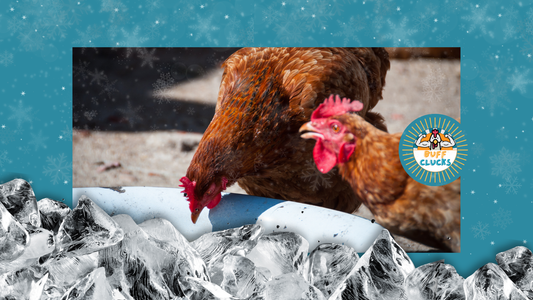 How to Keep Water From Freezing Without Expensive Gear