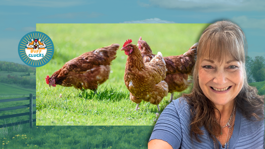 Melody Neel: Guest Blogger "A First Aid Kit For My Chickens: Being Ready for Anything"