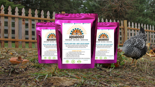 AquaBoost for healthy & happy chickens