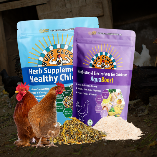 1 Buff Clucks Herb Supplement & 1 AquaBoost Bundle for healthy& happy Flocks