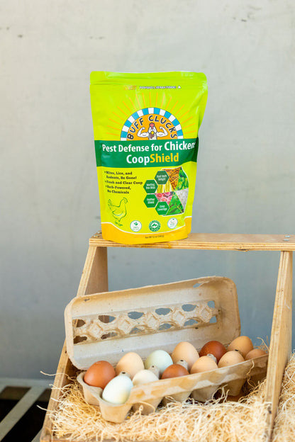 CoopShield Diatomaceous Earth Peppermint and herbs natural pest control for chickens ontop of nesting box with dozen chicken eggs