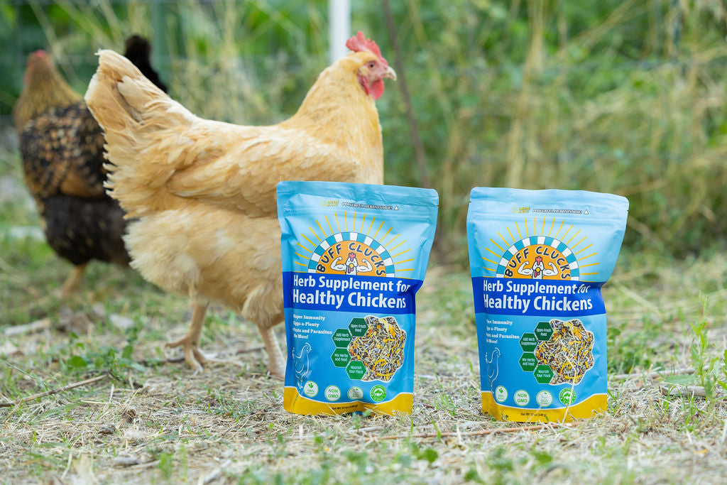 2 bags of buff clucks herb supplement with buff orpington in background