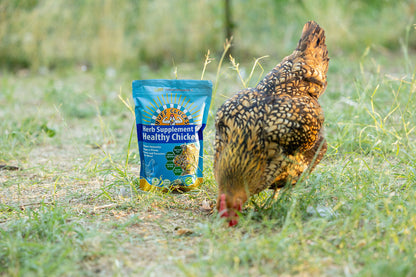 ★FULL CASE★ Herb Supplement For Backyard Chickens (12 Pack of 12 oz units)