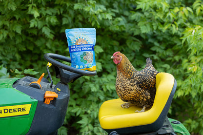 ★FULL CASE★ Herb Supplement For Backyard Chickens (12 Pack of 12 oz units)