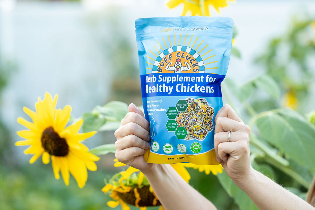 ★FULL CASE★ Herb Supplement For Backyard Chickens (12 Pack of 12 oz units)