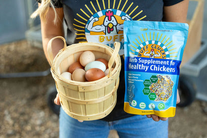 ★FULL CASE★ Herb Supplement For Backyard Chickens (12 Pack of 12 oz units)