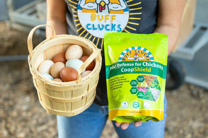 CoopShield Diatomaceous Earth Peppermint and herbs natural pest control for chickens in woman's hand with buff clucks shirt and basket of chicken eggs