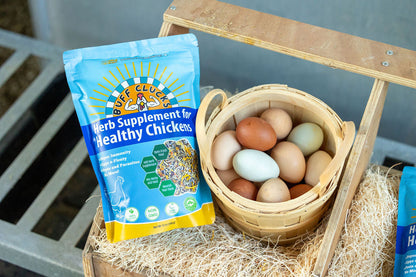 ★FULL CASE★ Herb Supplement For Backyard Chickens (12 Pack of 12 oz units)