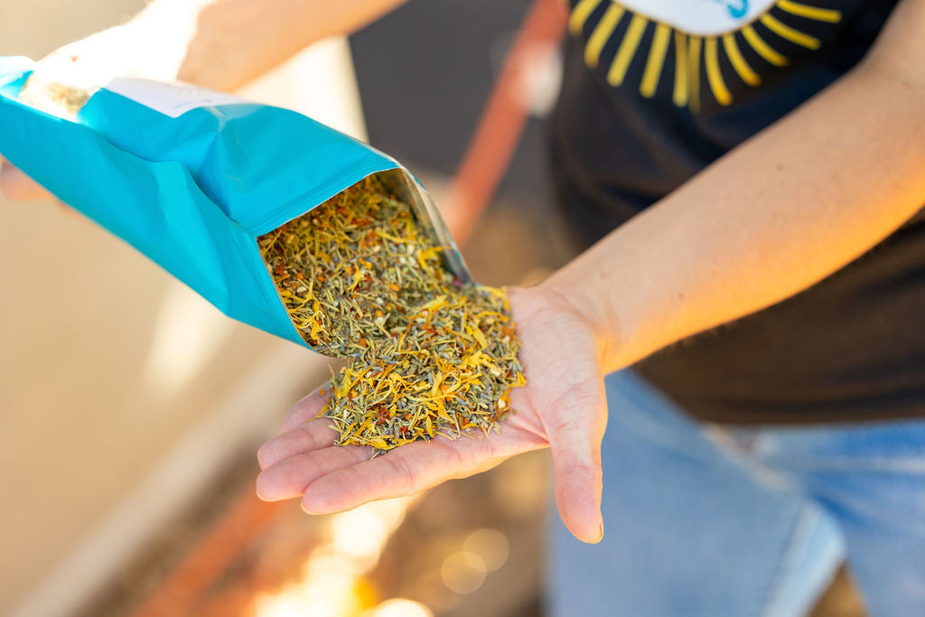 buff clucks herb supplement for chickens in a hand