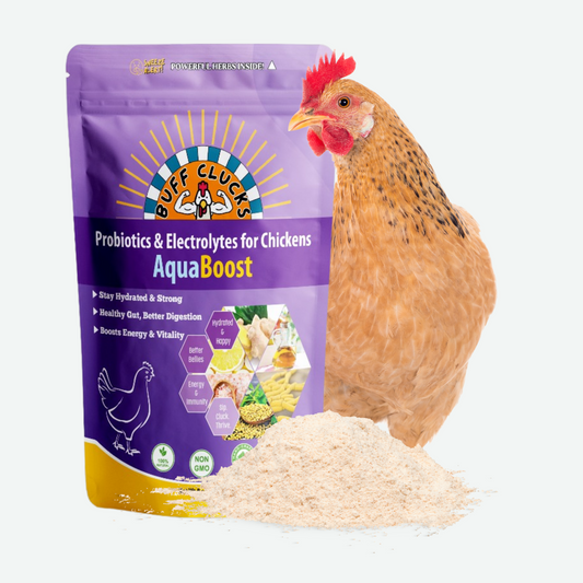 Aquaboost Powdered form for hydration & digestion, front package