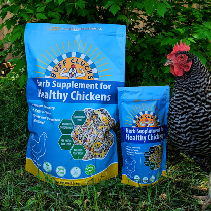 ★FULL CASE★ Herb Supplement For Backyard Chickens (12 Pack of 12 oz units)