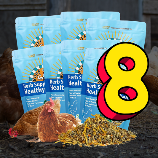 Buff Clucks Herb Supplement for Healthy Chickens for 8 Bundles