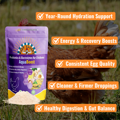 Aquaboost 6 main benefits