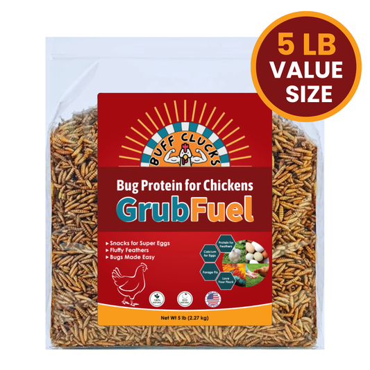 GrubFuel - Black Soldier Fly Larvae for chickens