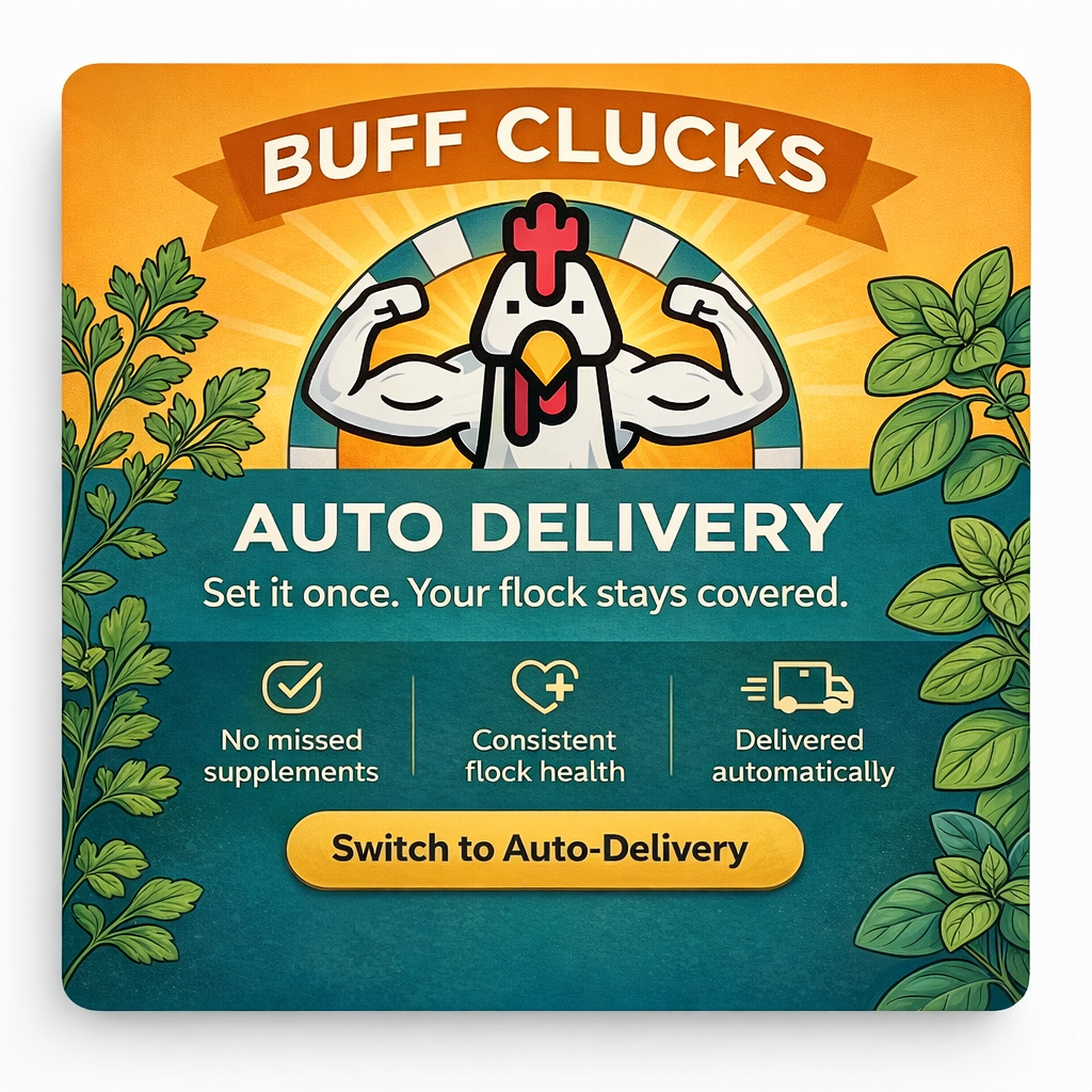 Yellow teal Buff Clucks Auto-Delivery promo graphic with chicken logo and Switch to Auto-Delivery button