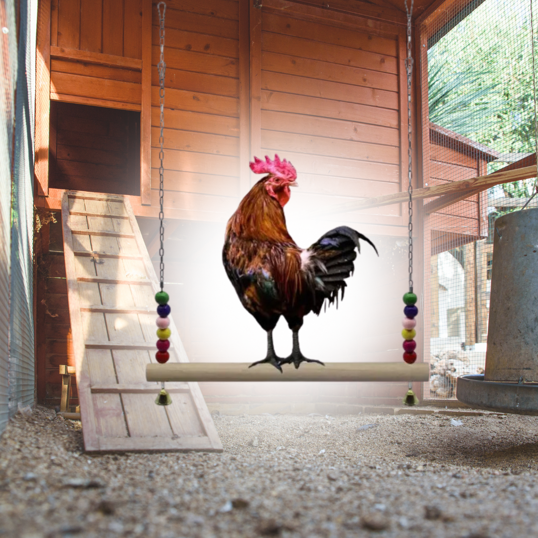 Cluck & Swing: Wooden Swing for Backyard Chickens