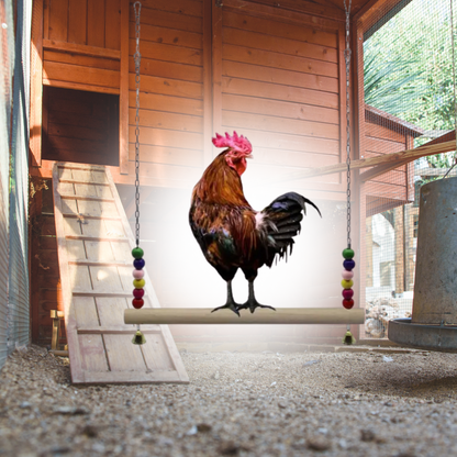 Cluck & Swing: Wooden Swing for Backyard Chickens