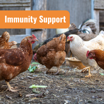 Complete Coop Care System for Immunity Support