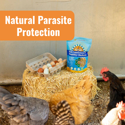 Complete Coop Care System for Natural Parasite Protection
