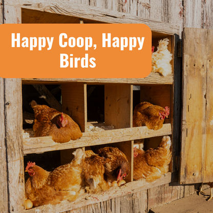 Complete Coop Care System for Happy Coop & Happy Birds