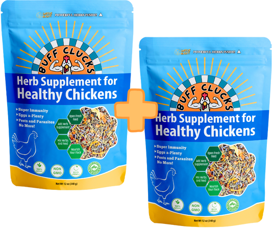 buff clucks herb supplement for chickens 2 bags bundle