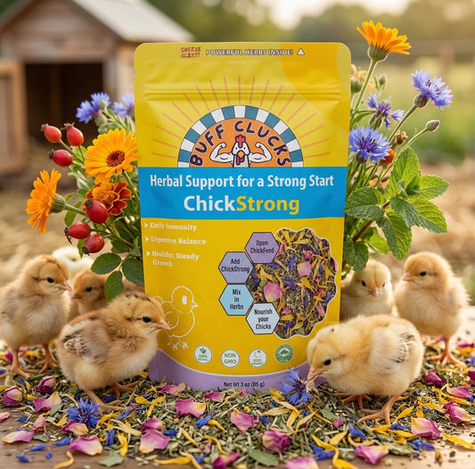 ChickStrong - Herbal Support for a Strong Start