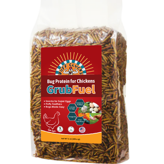 black soldier fly larvae for chickens grubfuel package by buff clucks