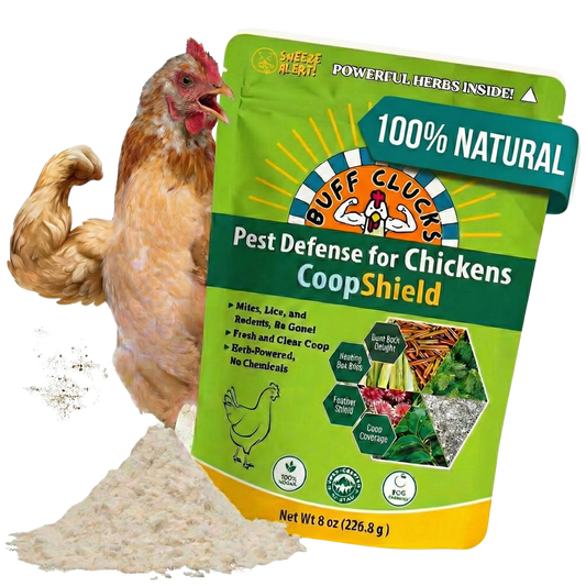CoopShield—Herbal Pest Defense for Chickens