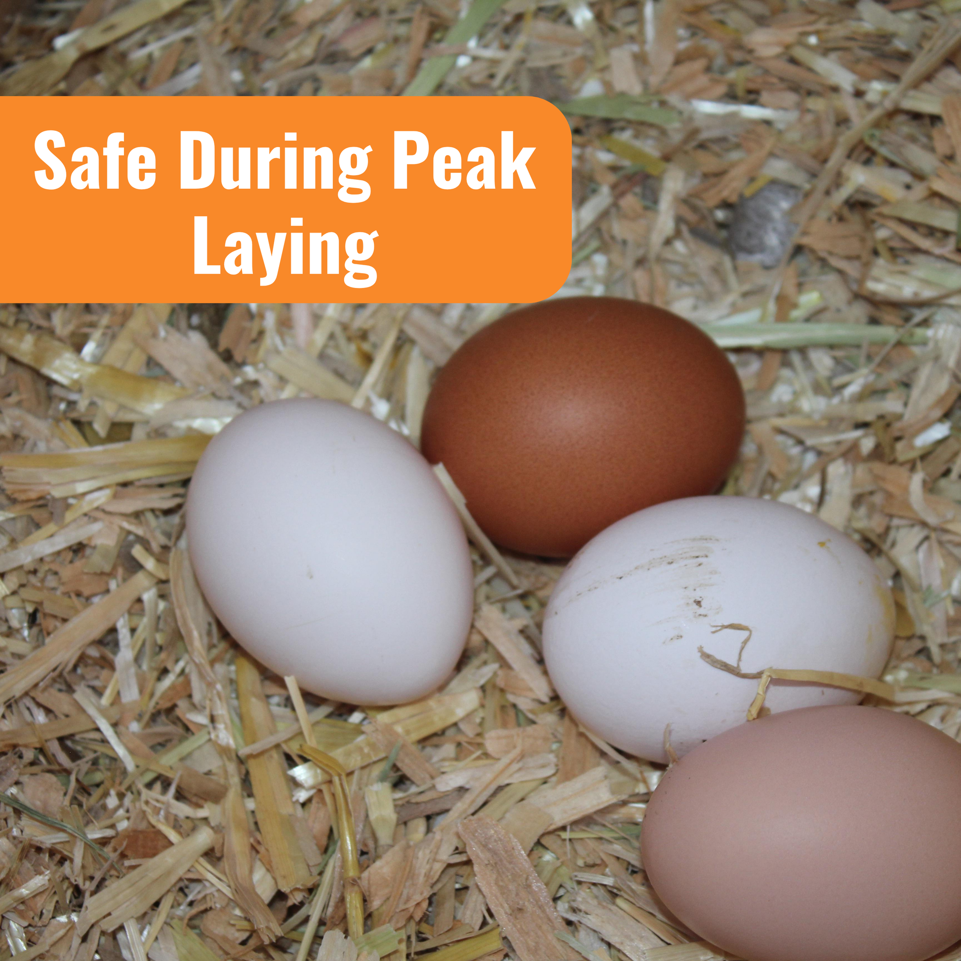 WormStop benefit with image of eggs, safe during peak laying