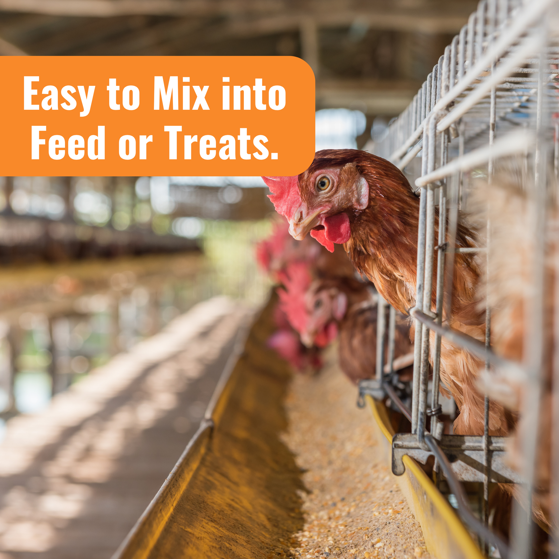 WormStop Benefit with image of chicken eating, easy to mix into feed or treats