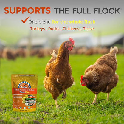 WormStop – Natural Dewormer for Chickens