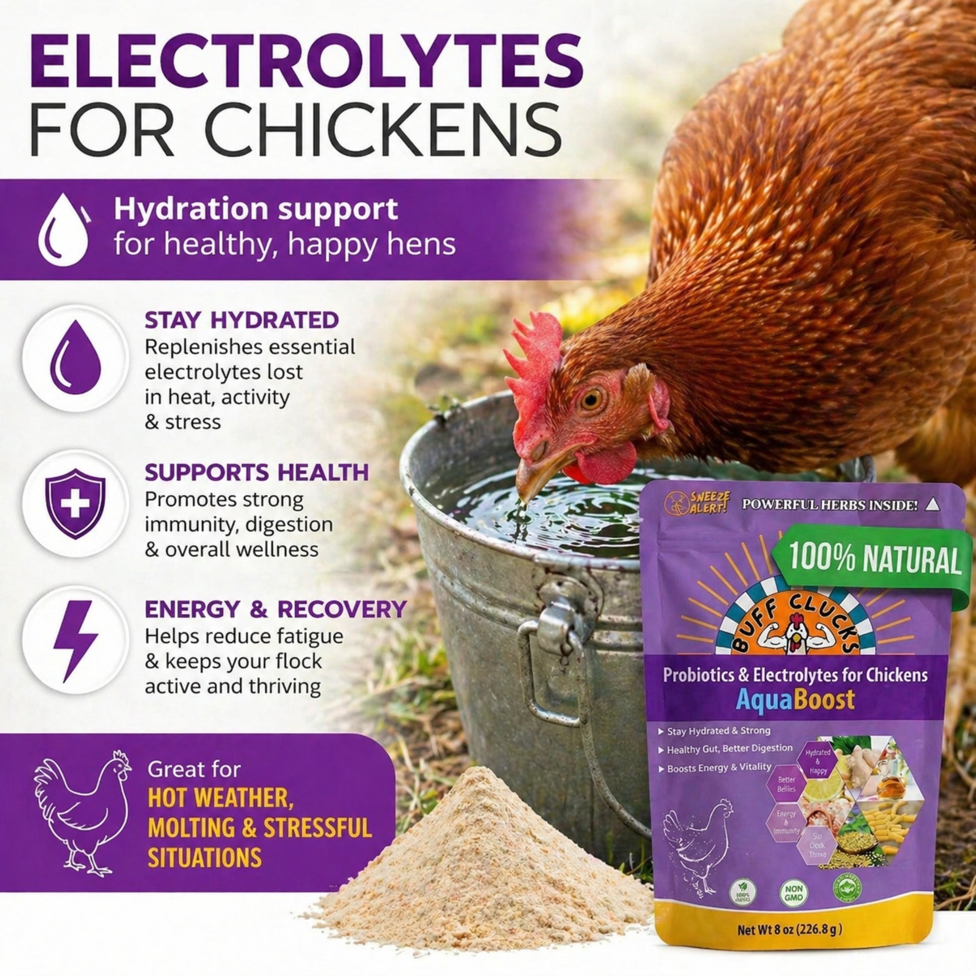 Purple Buff Clucks AquaBoost pouch with drinking chicken icon and hydration immunity benefit icons