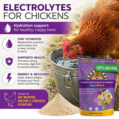Purple Buff Clucks AquaBoost pouch with drinking chicken icon and hydration immunity benefit icons