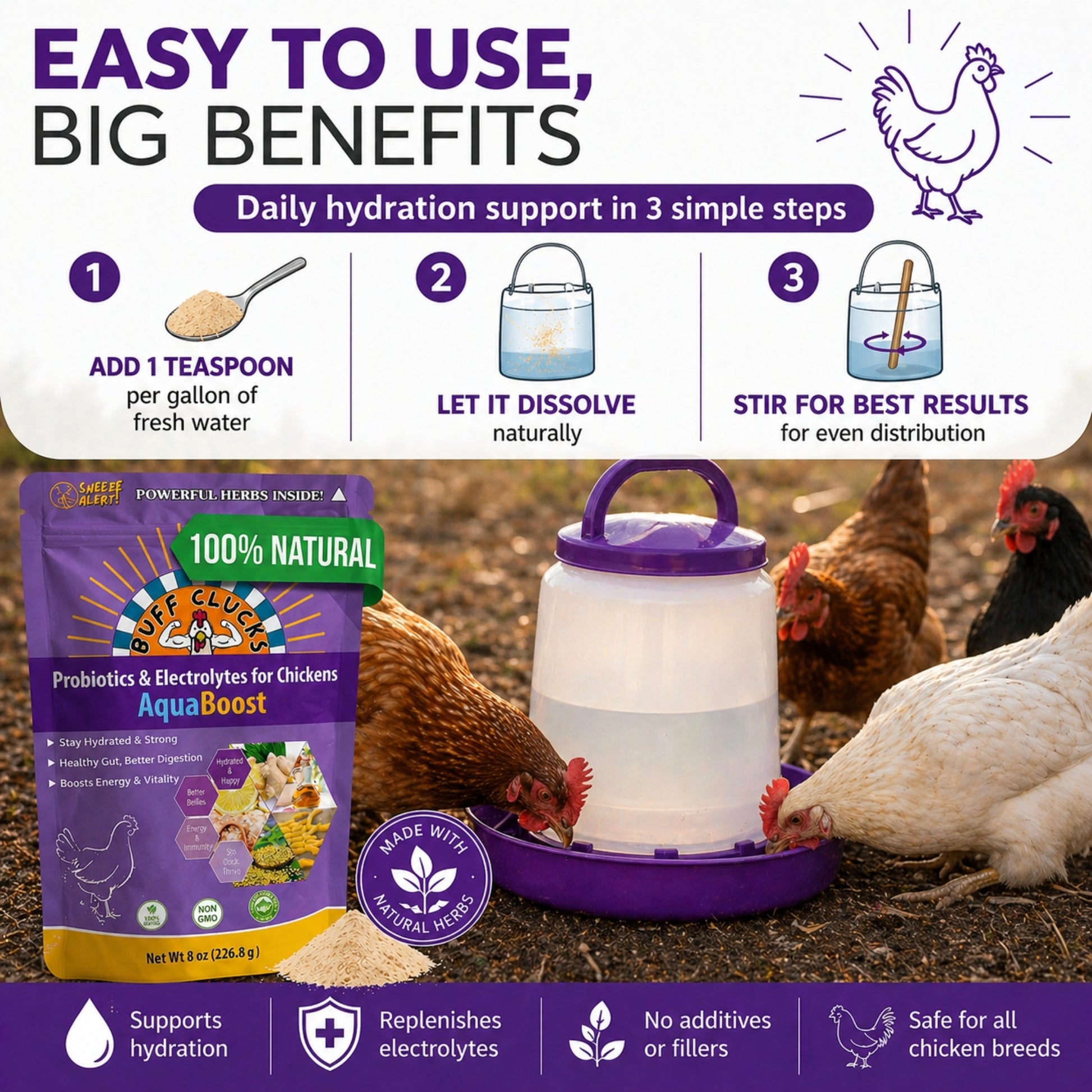 Buff Clucks AquaBoost promo showing purple pouch with 3-step usage graphics and chickens drinking