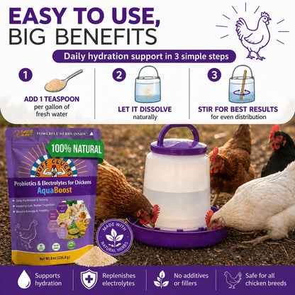 Buff Clucks AquaBoost promo showing purple pouch with 3-step usage graphics and chickens drinking